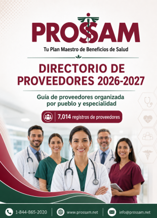 Directorio de Proveedores 2026 weblink